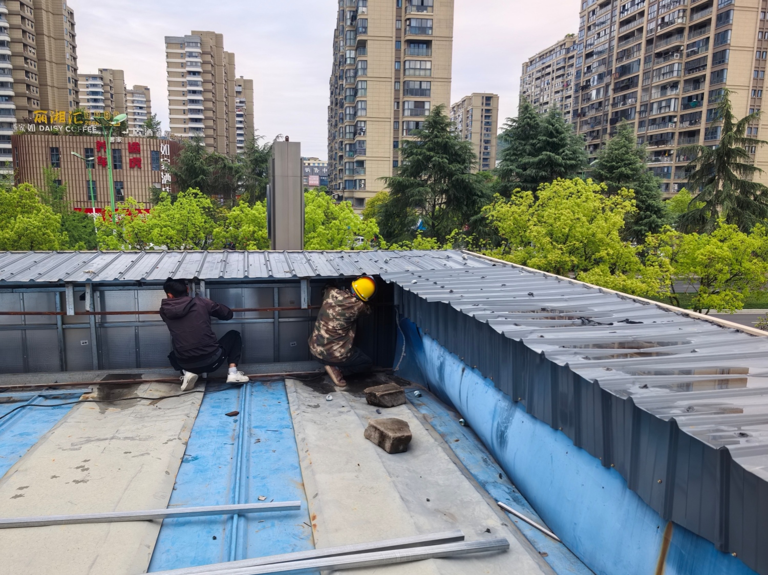 微信圖片_20260413163115_416_350.jpg 微信圖片_20260413163115_416_350.jpg